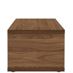 Temahome Couchtisch Bérinne-schwarz/nussbaum