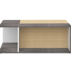 Symbiosis Couchtisch Cleo - Beton/Eiche