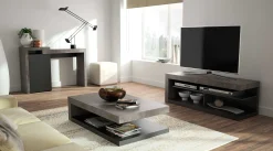 Temahome Couchtisch Delta mit Stauraum - Betonoptik