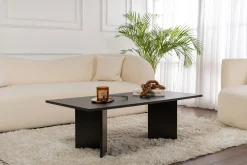 Emob Couchtisch Sabin - 100% MELAMINE - Holz - 40 x 60 x 119 cm
