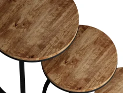 Rousseau 3er-Set Couchtische Amana Ø 45 cm-Magnolienholz