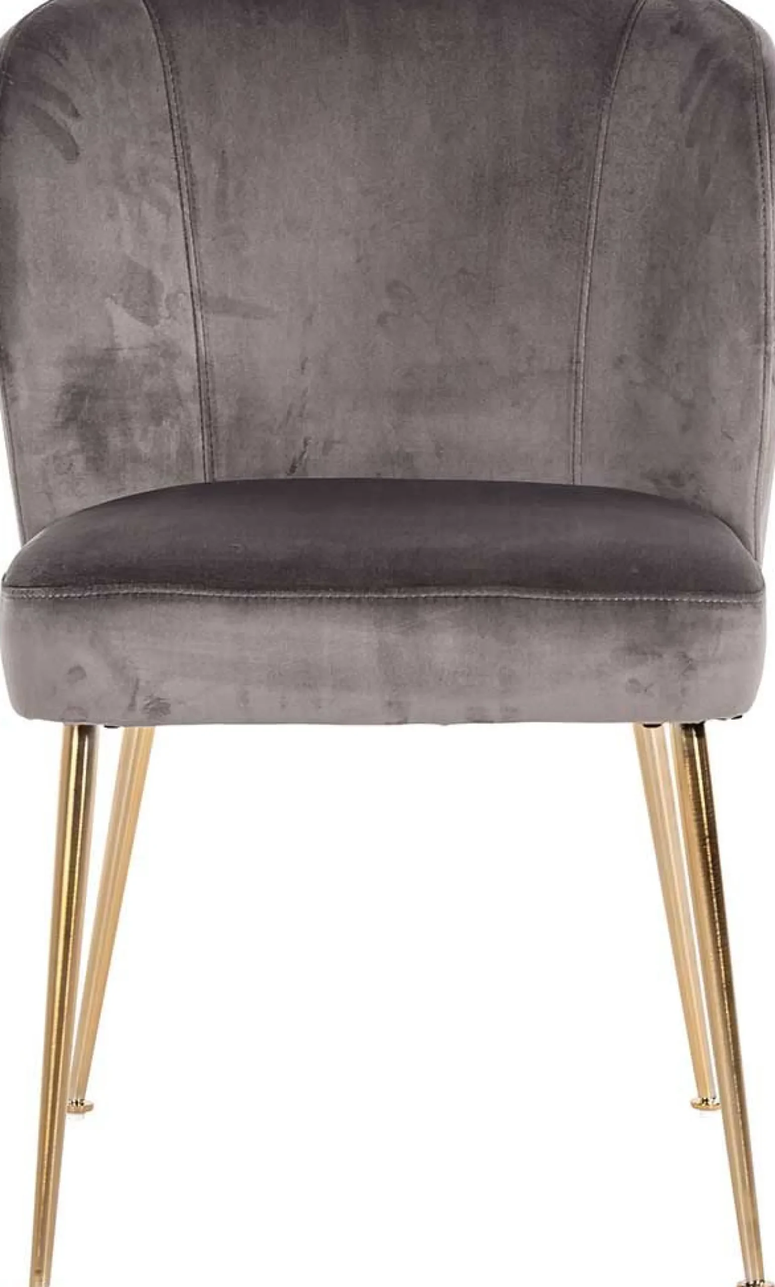 Richmond Esszimmerstuhl Cannon velvet - /gold
