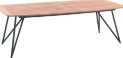 Gescova Gartentisch Talinn - Teakholzplatte, verzinkter Stahl - 250x110 cm - Schwarz/Braun
