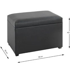 Haku Klappbox | 58 x 39 x 42 cm |