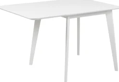 Emob Klapptisch Rover 80/120x80 cm -