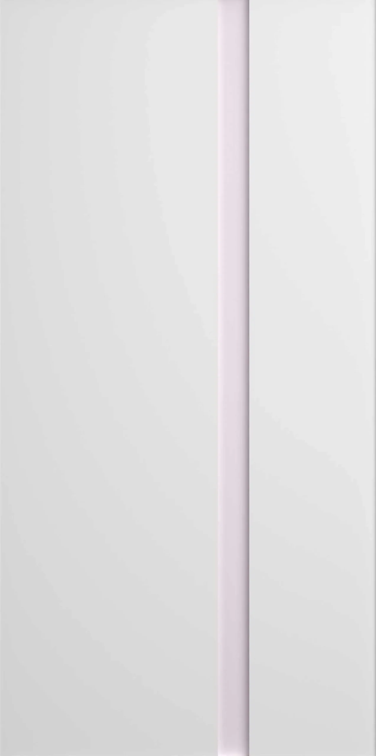 Kleiderschrank Rue mit 2 Türen - weiß/grau oder weiß/rosa