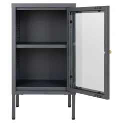 Modernes graues Kabinett mit Glastür