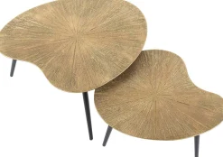 Emob Ray Metall Nierenförmiger Couchtisch Set in Antik