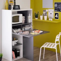 Parisot Schrank Flip 2 Türen - grau/weiß