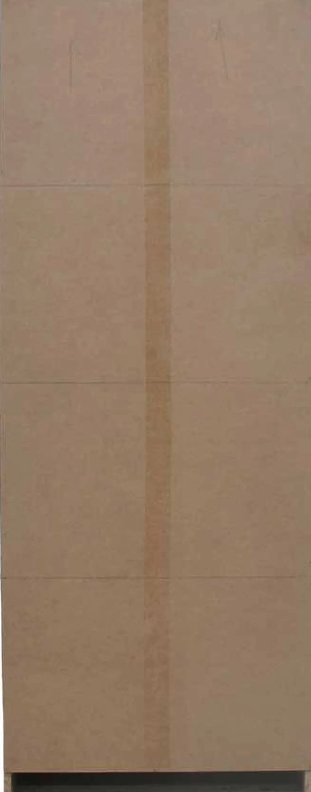 Schuhschrank Mex - 60x23x161cm - 4 Türen - mit Spiegel - Sonoma Eiche