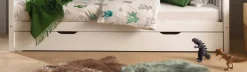 TipiBett mit Reling 90x200cm - mit Lattenrost und Bettkasten - Kiefer massiv - weiß