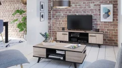 TV-Schrank Wilke 2 Flügeltüren und 3 Einlegeböden - Eiche gebürstet/Mattschwarz